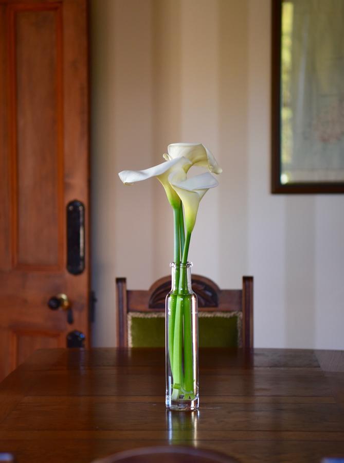 French Bay House Bed & Breakfast Akaroa Exterior photo